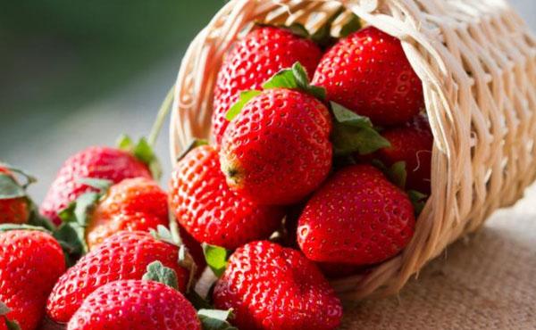 fraises dans la lutte contre le rhume
