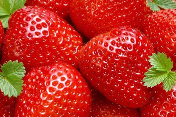 ¿Cómo son útiles las fresas?