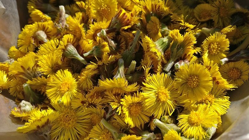 preparación de flores