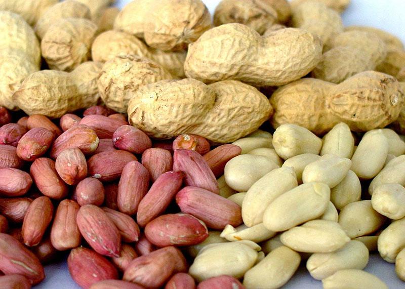 cacahuète