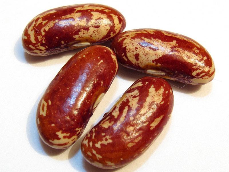 des haricots