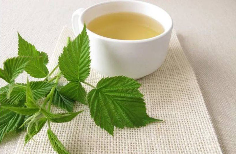té de hojas de frambuesa