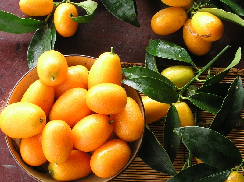 ¿Por qué es útil el kumquat?