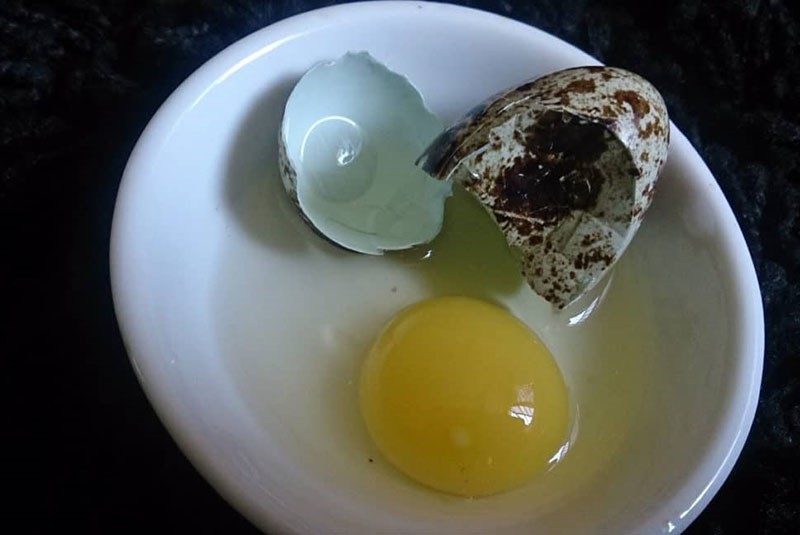 oeufs de caille pour la santé de la femme enceinte