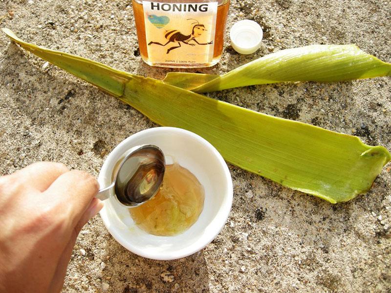 aloe vera con miel para el estómago