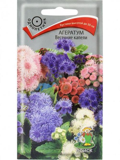 Gotas de primavera ageratum