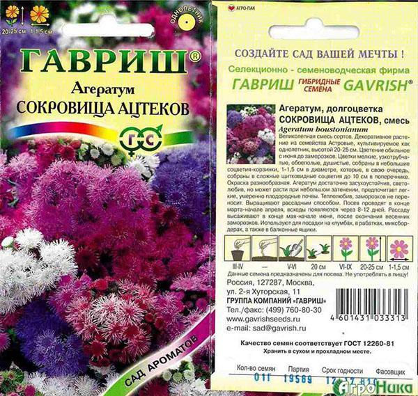 tesoros aztecas ageratum