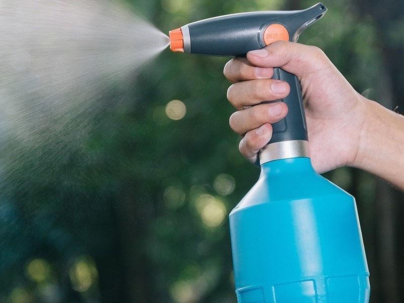 rocíe las plantas con una botella rociadora