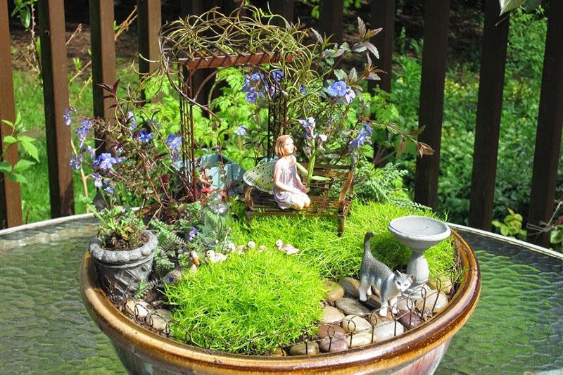 mini-jardin avec du sel