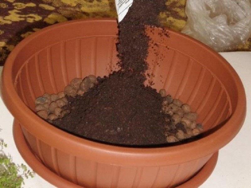 remplir le pot avec de la terre