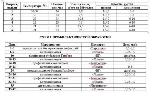 calendrier de vaccination