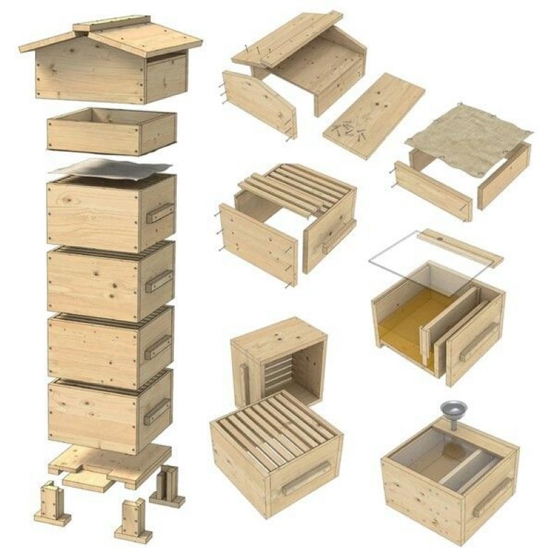 estructura de la colmena alpina