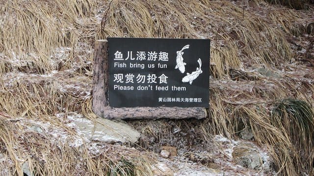 الصورة عبر shanghailist لا يجب أن تكافئ أي شيء أو أي شخص يسعدك ؟!