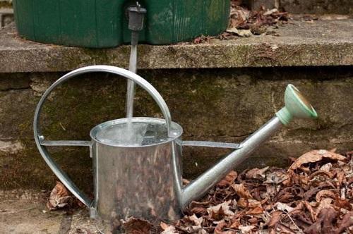 eau décantée pour l'irrigation