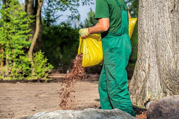 acidificación del suelo con hojas caídas