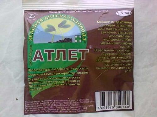atleta