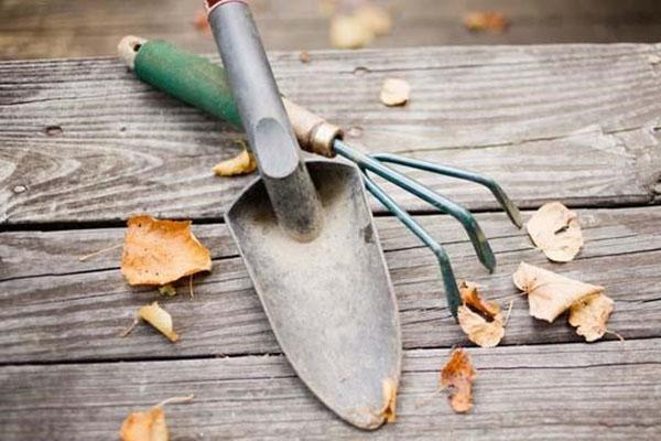 outils pour travailler sur des parterres de fleurs