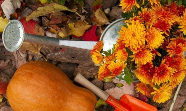 travailler en septembre sur les parterres de fleurs