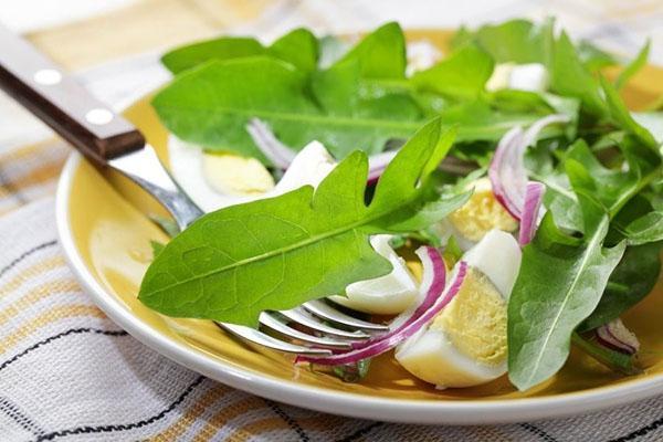 salade de feuilles de pissenlit