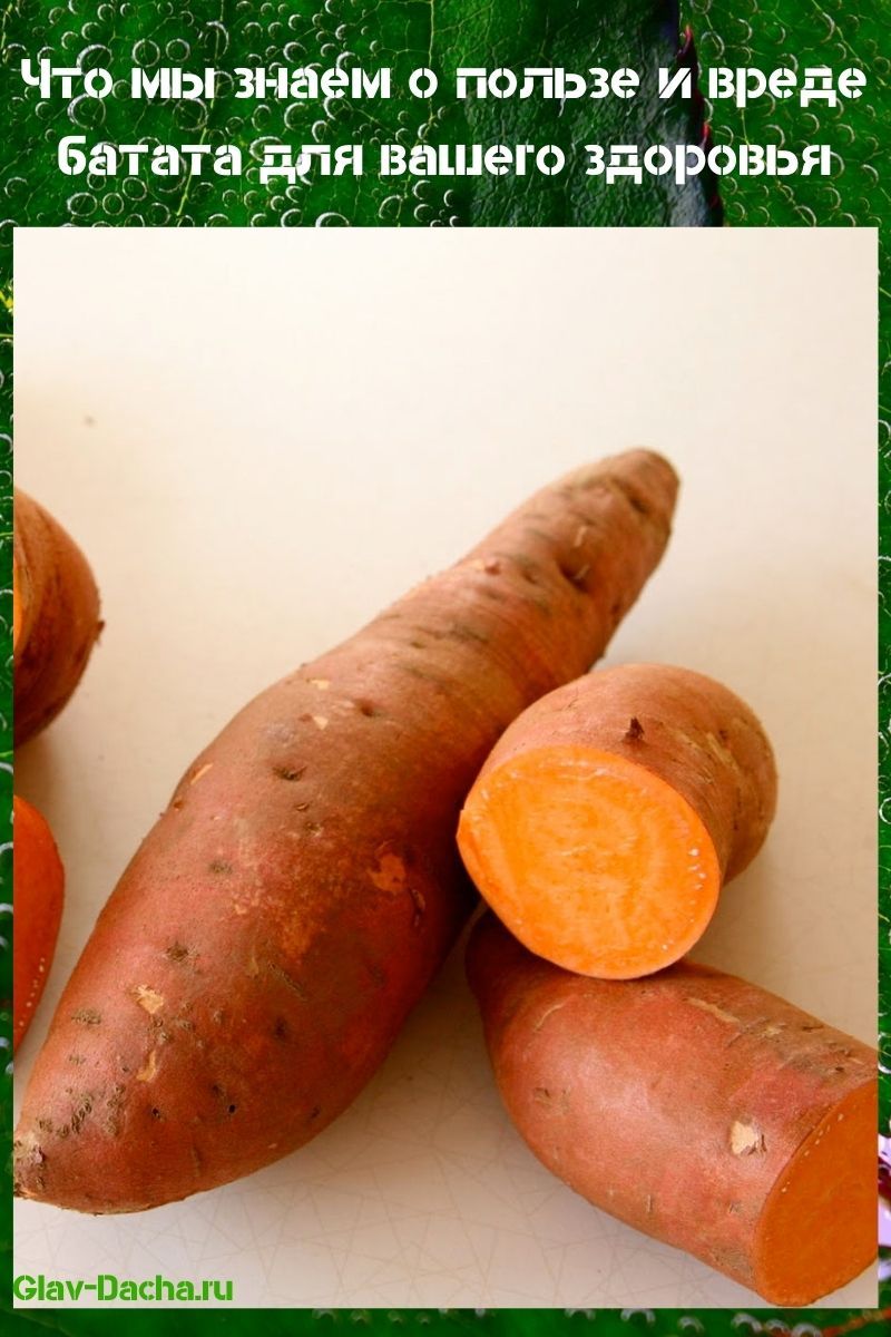 los beneficios y daños de las batatas