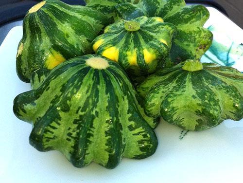 Con fines medicinales, se utilizan calabazas de diferentes colores.