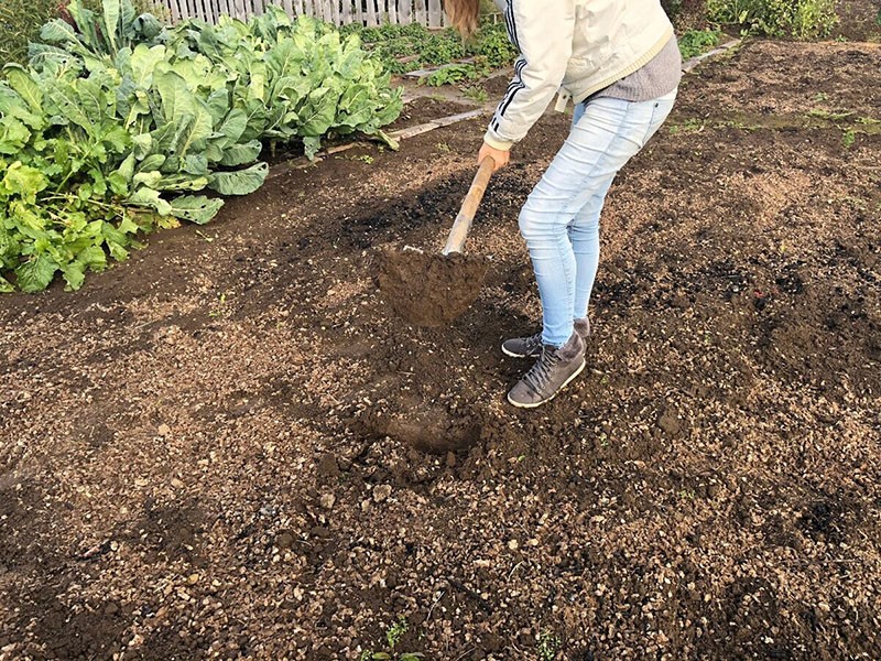 preparación del sitio