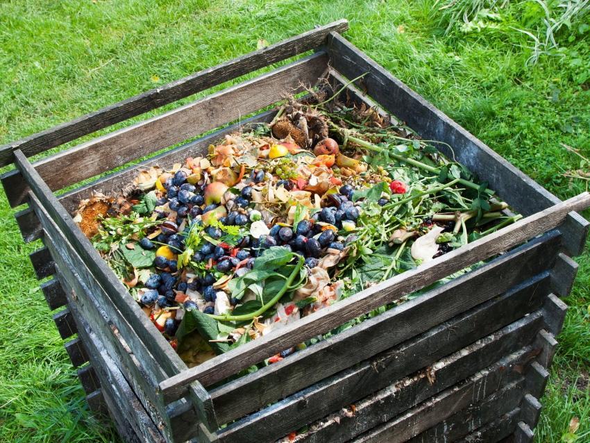 que peut-on mettre dans le tas de compost