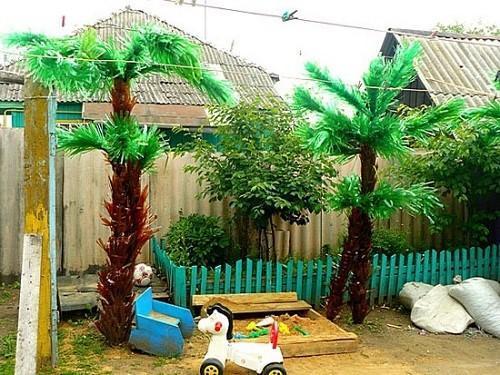 patio de recreo bajo una palmera