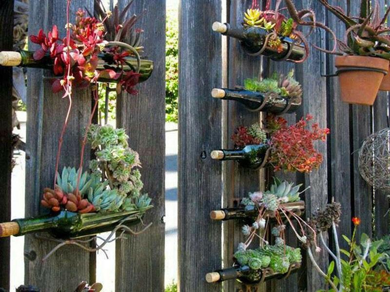 macizos de flores colgantes