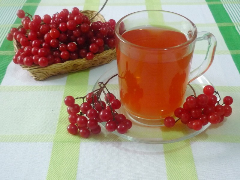 té medicinal con viburnum