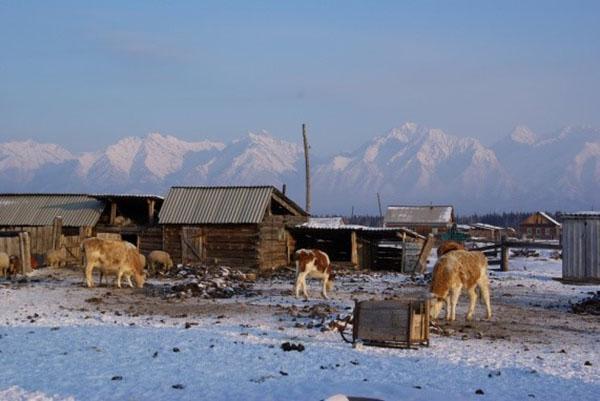 ferme au début de l'hiver