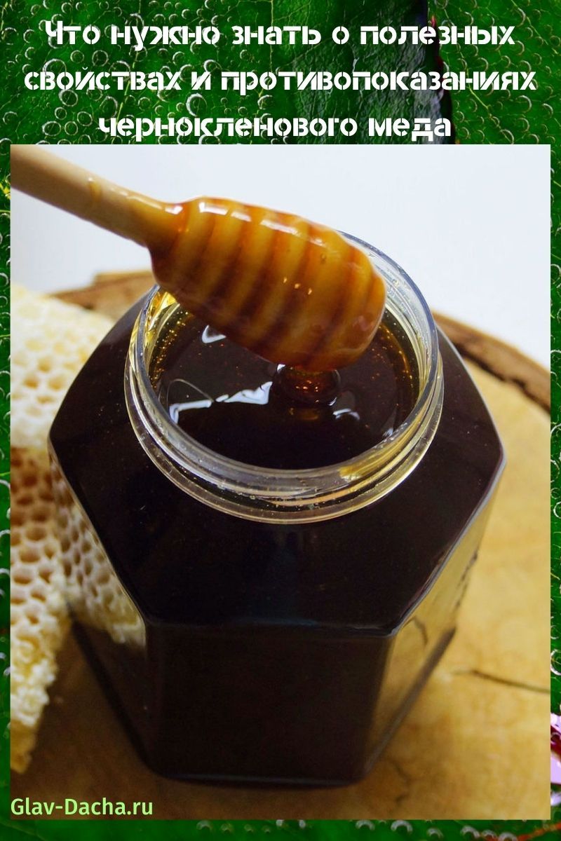 Propiedades útiles y contraindicaciones de la miel ennegrecida.