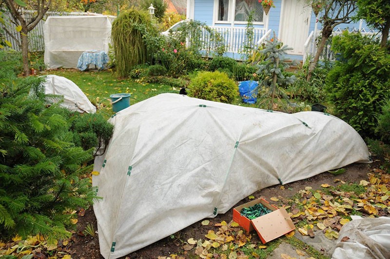 préparer le balai pour l'hiver