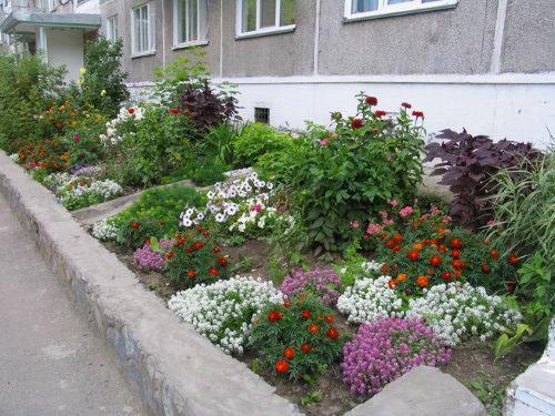 Formación de un gran macizo de flores de plantas perennes y anuales.