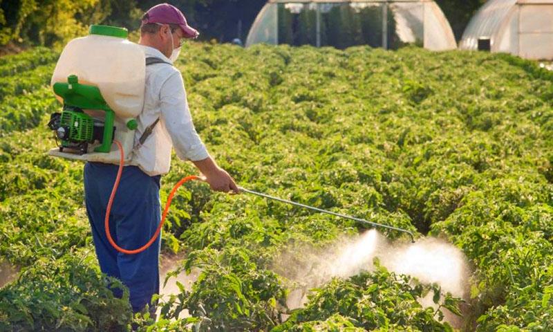 tratamiento del sitio con productos químicos