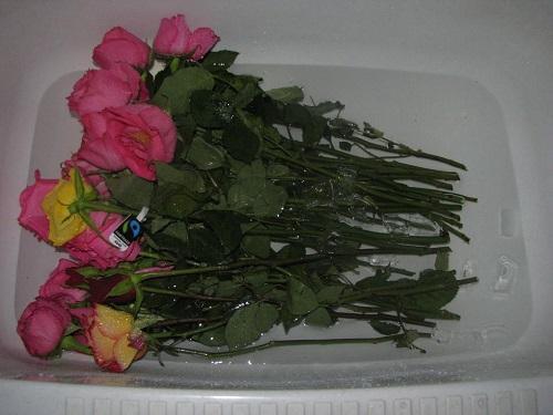 roses à souder