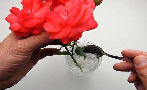 additifs pour le bouquet