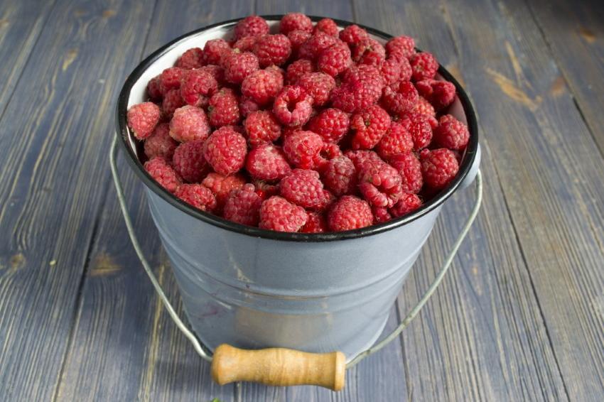 qué cocinar con frambuesas además de mermelada