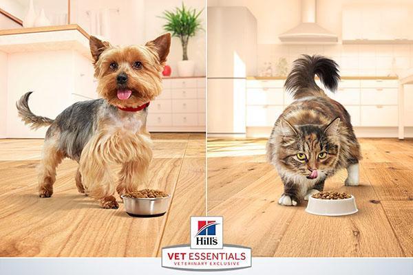comida medica para perros y gatos