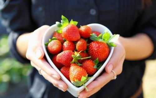 propriétés utiles des fraises