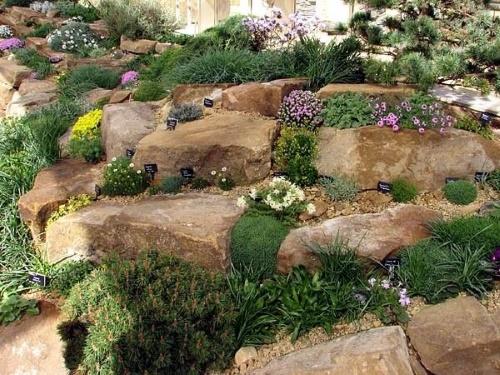 jardín de rocas con flores