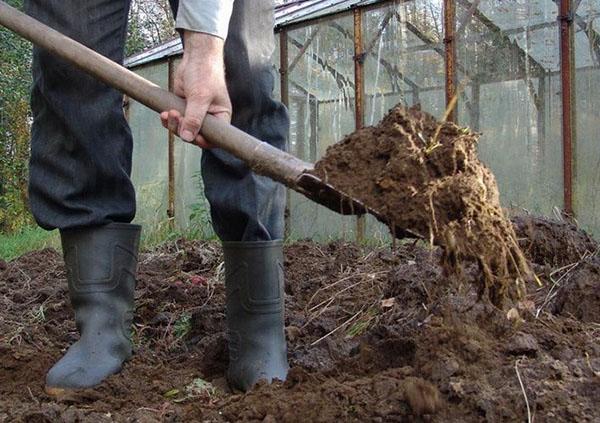 traitement du jardin