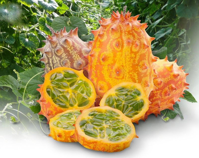 fruits Kiwano mûrs