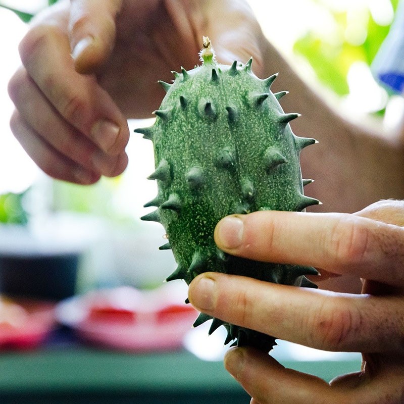 kiwano aux fruits verts