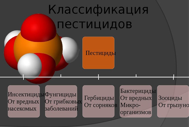 clasificación de plaguicidas
