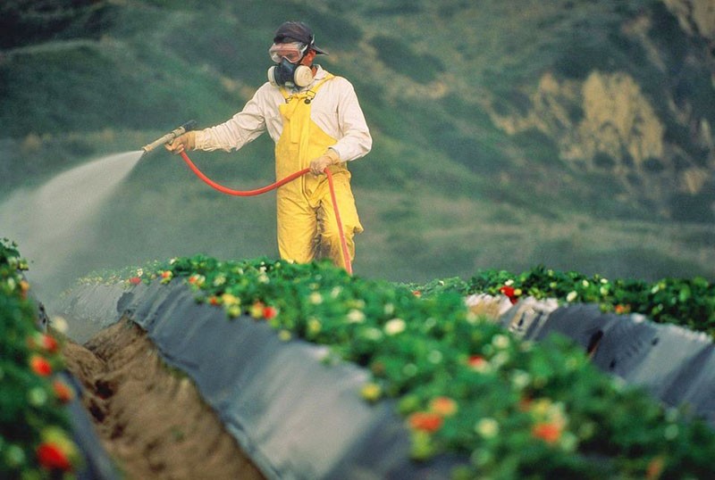 classification des pesticides par mécanisme d'action