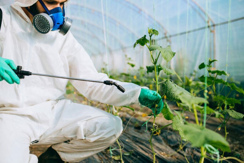 tratamiento con plaguicidas de plantas