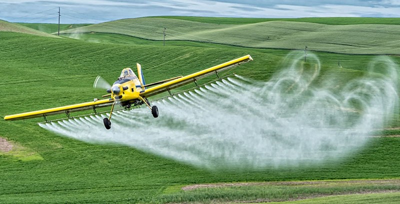 tratamiento con pesticidas de campos