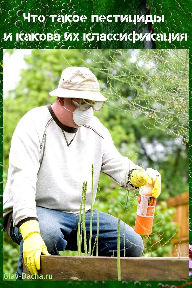 que sont les pesticides