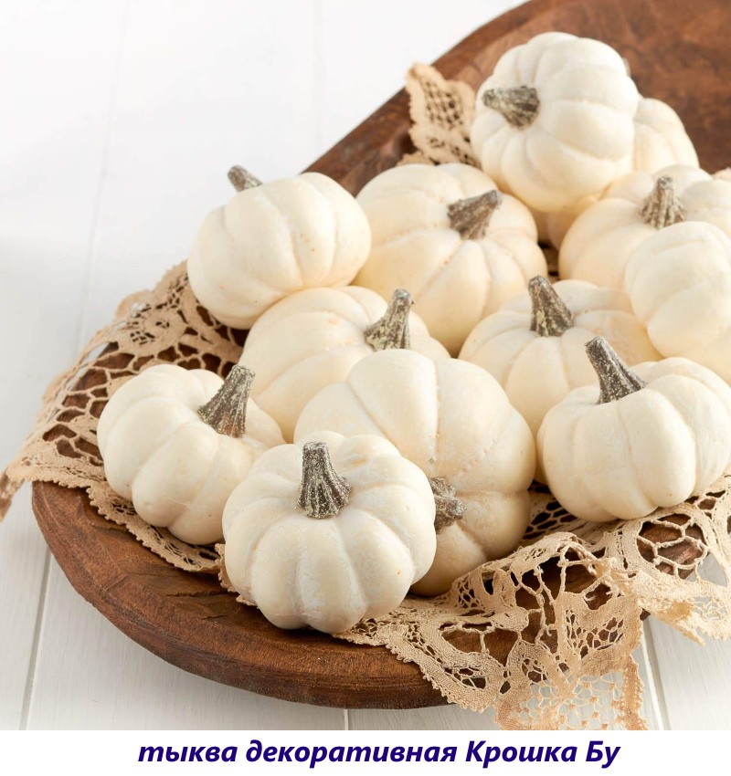 miettes décoratives à la citrouille